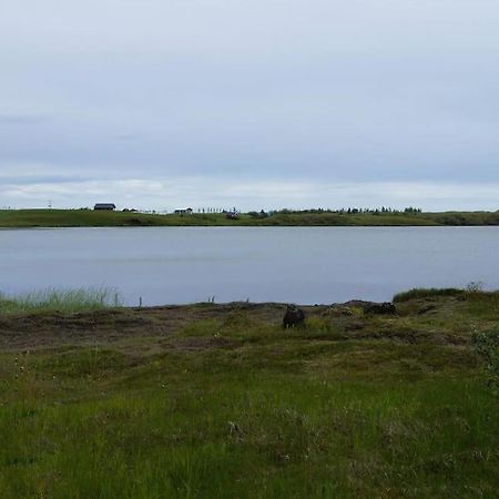 Lakeview Cabin Near Kirkjubæjarklaustur Exteriér fotografie